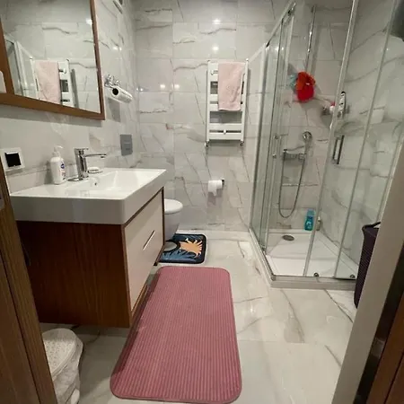 Business-friendly Flat In Fikirtepe *