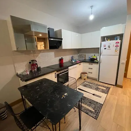 Business-friendly Flat In Fikirtepe *